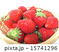 いちご 15741296