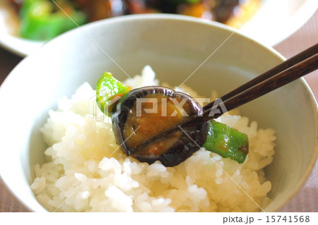 なすの味噌炒め 15741568