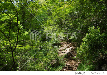 山道 山道 15742283