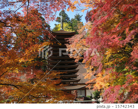 談山神社 15742343