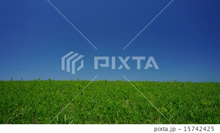 阿蘇大観峰の草原 阿蘇大観峰の草原 15742425