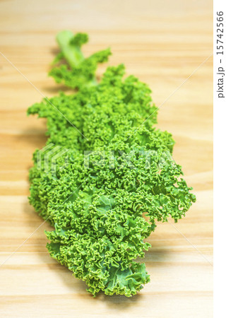 green kale green kale 15742566
