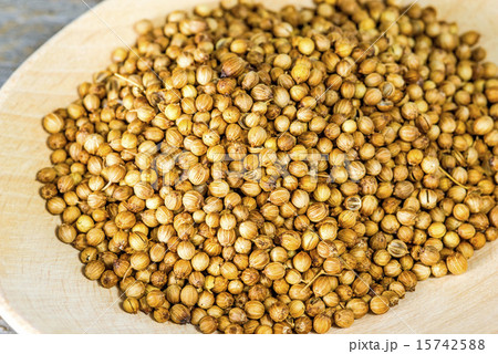 Coriander 15742588