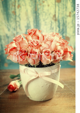 Pink roses in a pot Pink roses in a pot 15742738