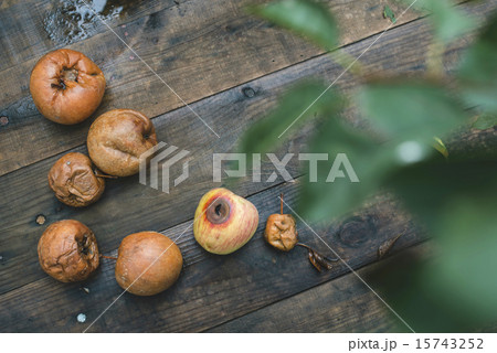 Rotten apples on wood 15743252