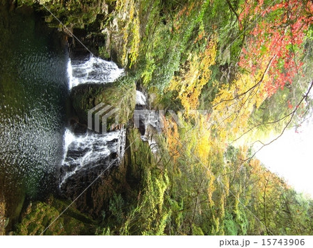 紅葉 赤目四十八滝 紅葉 赤目四十八滝 15743906