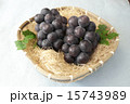 藤稔 藤稔 15743989