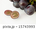 藤稔 藤稔 15743993