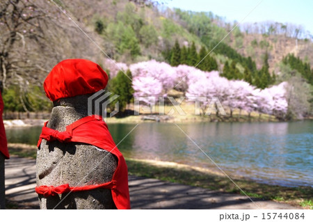 満開の桜とお地蔵様 中綱湖 満開の桜とお地蔵様 中綱湖 15744084