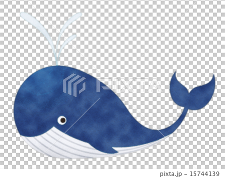whale whale 15744139