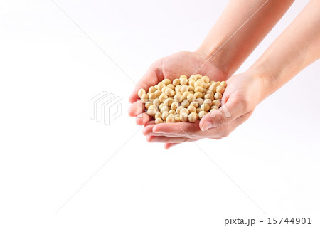 大豆を持つ女性の両手 大豆を持つ女性の両手 15744901