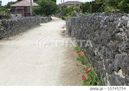 竹富の古民家 竹富の古民家 15745754