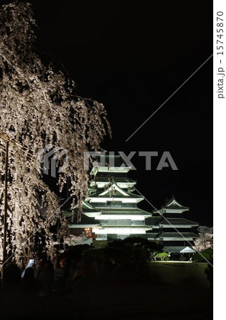 信州　国宝松本城　夜桜風景 15745870
