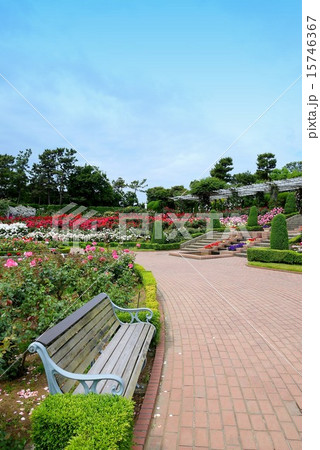 谷津バラ園のベンチ 15746367