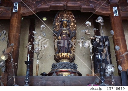 信濃三十三観音霊場 倉科山 妙音寺 (第五番札所) 界隈 信濃三十三観音霊場 倉科山 妙音寺 (第五番札所) 界隈 15746659