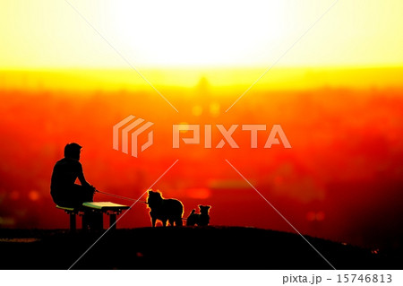 夕暮れ時 15746813