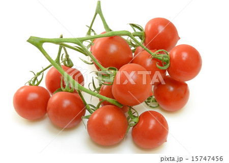おいしいミニトマト 15747456