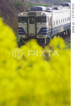 鰺ヶ沢 五能線 鰺ヶ沢 五能線 15747910