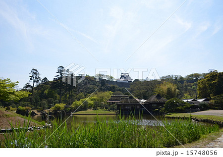 玄宮園から望む彦根城 玄宮園から望む彦根城 15748056