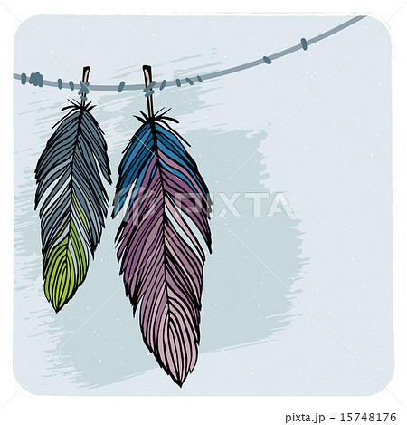 Winter feathers 15748176