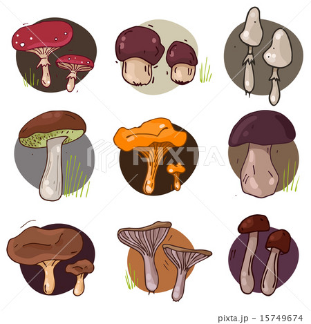 Mushroom icons set 15749674