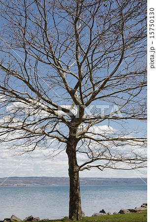 タガノック・フォールズ・州立公園 15750130