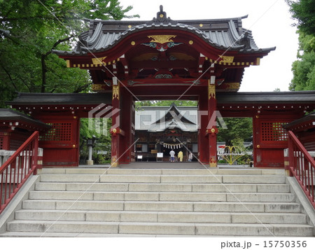 秩父神社 15750356