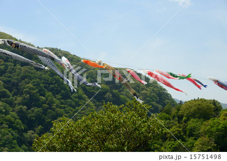 群馬県　赤谷湖　こいのぼり 15751498