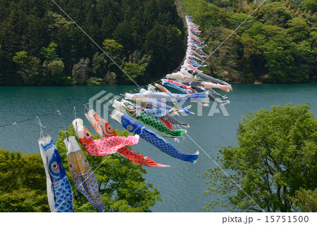 群馬県　赤谷湖　こいのぼり 15751500
