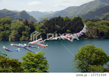 群馬県　赤谷湖　こいのぼり 15751509