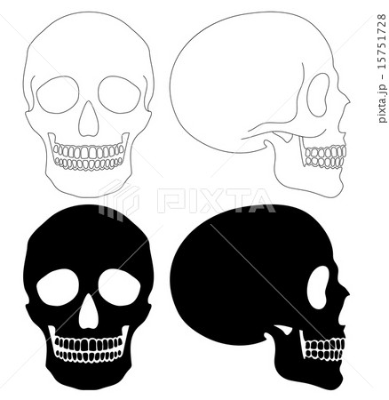 Skull Setのイラスト素材