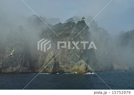 三陸海岸・霧の北山崎 三陸海岸・霧の北山崎 15752079