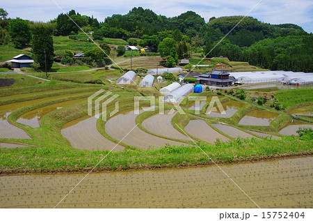 春の高森町菅山地区の田植えが終わった棚田 春の高森町菅山地区の田植えが終わった棚田 15752404