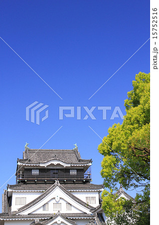 5月愛知 岡崎城・天守閣と新緑 5月愛知 岡崎城・天守閣と新緑 15752516
