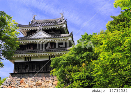5月愛知 西尾城・丑寅櫓 15752582