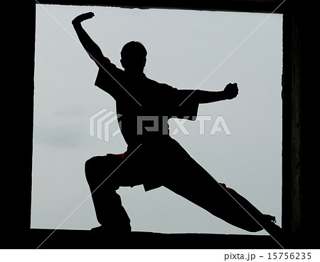 Wushoo man in red practice martial art 15756235