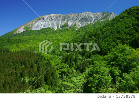鍵掛峠から望む新緑の大山(鳥取県日野郡江府町) 鍵掛峠から望む新緑の大山(鳥取県日野郡江府町) 15758579