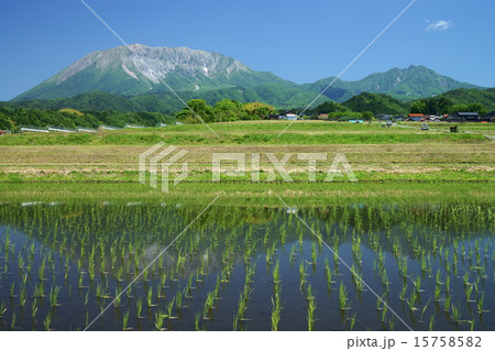 貝田地区から望む大山と烏ヶ山(鳥取県日野郡江府町貝田) 貝田地区から望む大山と烏ヶ山(鳥取県日野郡江府町貝田) 15758582