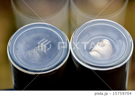 浄水器フィルター 15759704