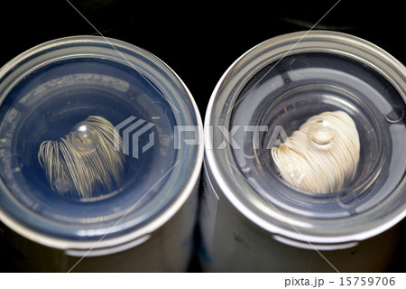 浄水器フィルター 浄水器フィルター 15759706