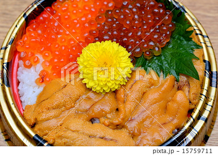 海鮮三色丼 15759711