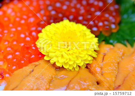海鮮三色丼 海鮮三色丼 15759712