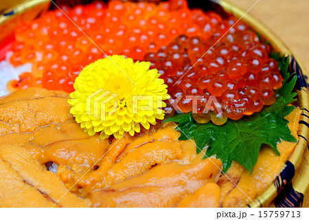 海鮮三色丼 海鮮三色丼 15759713