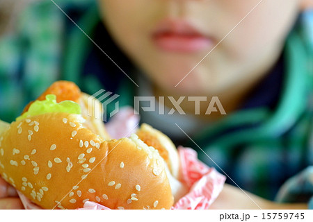 ハンバーガー 15759745