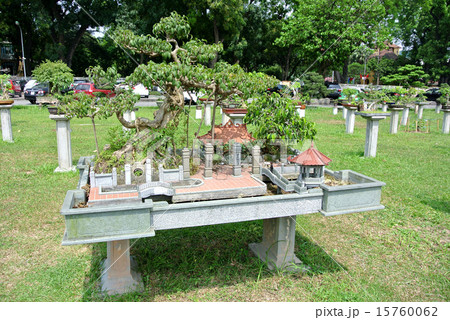 ベトナム 世界遺産 タンロン遺跡の盆栽 ベトナム 世界遺産 タンロン遺跡の盆栽 15760062