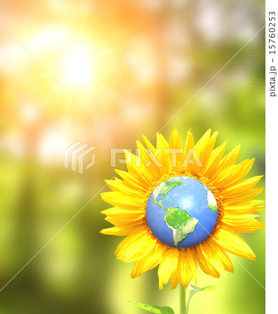 Sunflower and Earth on sunny background 15760253