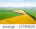 Green and yellow fields from above aerial view 15760628
