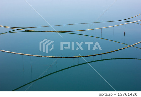 留萌港、係留ロープ 15761420