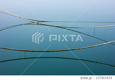 留萌港、係留ロープ 15761423