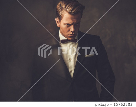 Sharp dressed fashionist wearing jacket and bow tie 15762502